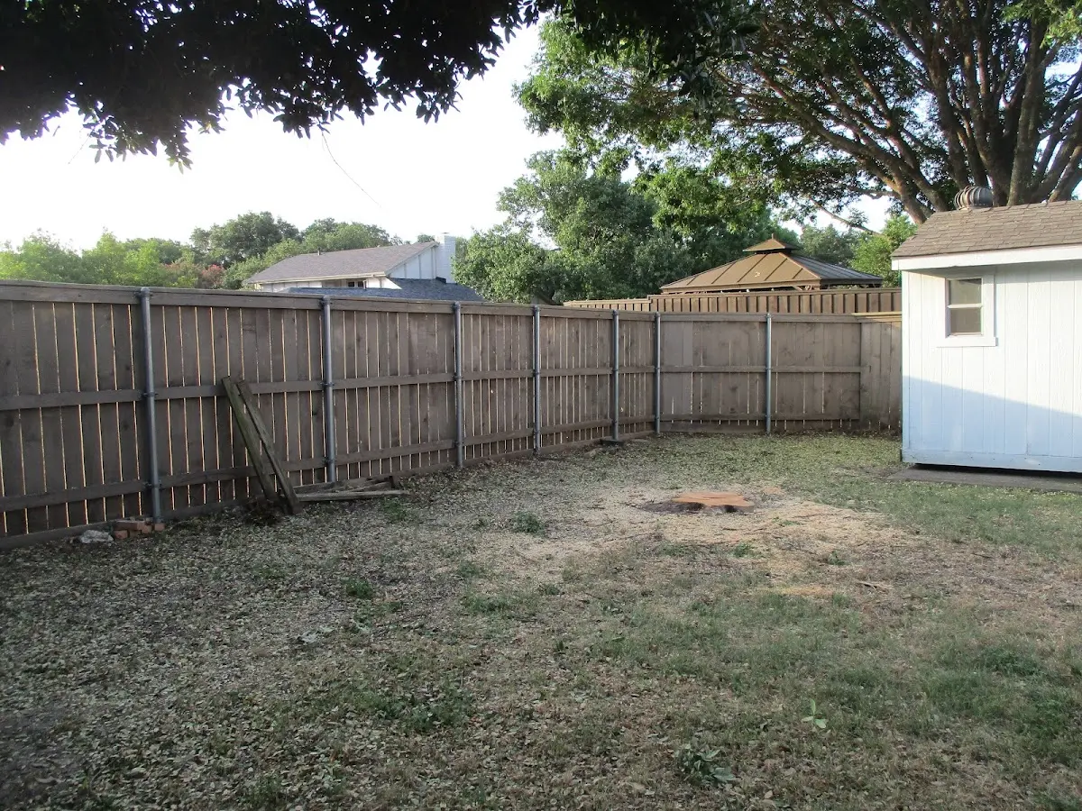 Cleared yard after professional tree removal in Lead